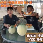 メロン食レポ。横浜植木さんの早春SP3が大きくて甘い！：北海道 富良野 メロン農家の寺坂農園