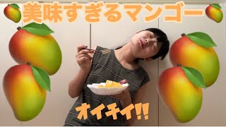【食レポ】美味いマンゴー食った