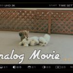 【Analog Movie】友達に会いに行くよ［兵庫ペット医療センター トリミング 尼崎 犬動画　］Happy dog glooming