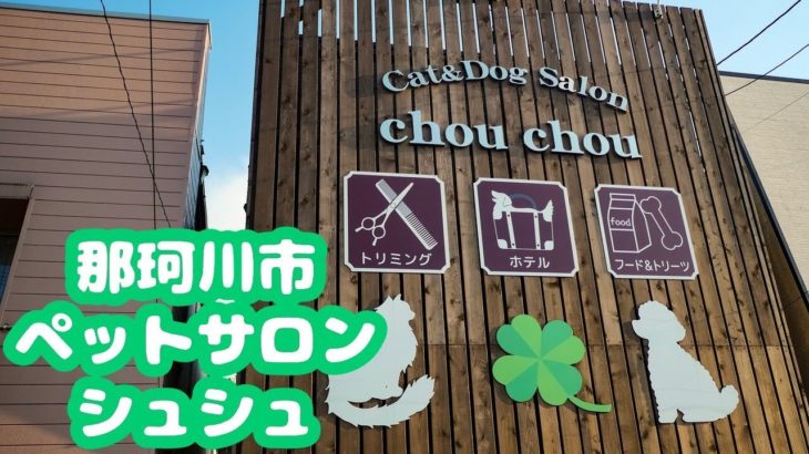 那珂川市Cat＆Dog Salon ChouCho(シュシュ)のペットホテル紹介