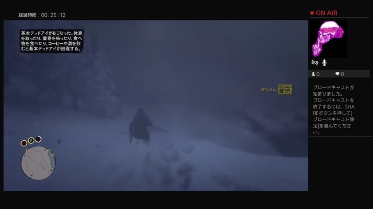 ゲーム実況 RDR2 ONLINE 【雇われキラー　雪山編】 A hired killer：Snowy mountains.