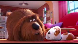 映画『ペット２』大ヒット公開中！