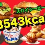 【日本一早いマック新商品食レポ】マイルドカレーチキンバーガーvsワイルドスパイシービーフバーガー