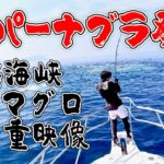 衝撃の貴重4K映像！クロマグロのスーパーナブラ！津軽海峡クロマグロのキャスティングゲーム