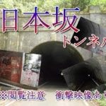 【心霊スポット】旧本坂トンネルに行ったら衝撃映像が撮れた
