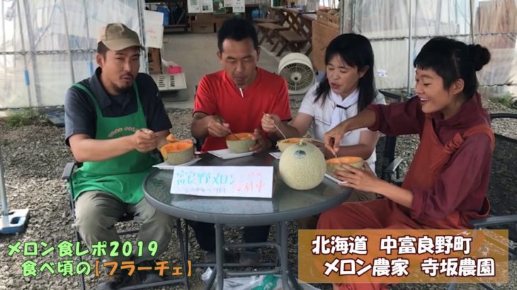 食べ頃メロン“フラーチェ”の食レポ【品種名：エルム】：北海道 富良野 メロン農家の寺坂農園