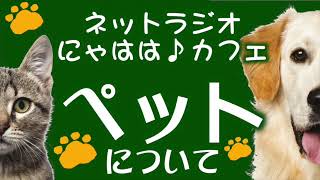 ペットについて【ネットラジオ】にゃはは♪Cafe