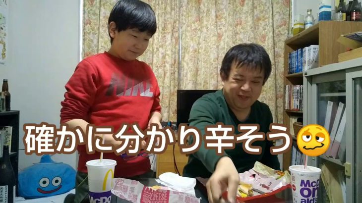 【食レポ】マクドナルドの『アツチーダブチ』と通常の『ダブルチーズバーガー』を食べ比べ🧀🍔