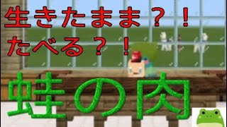 実況者が商品紹介をやるとこうなる[マイクラ]