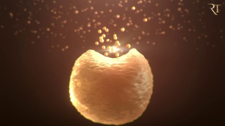 商品紹介_化粧品会社様_制作実績 W CREATIVE（ダブルクリエイティブ）