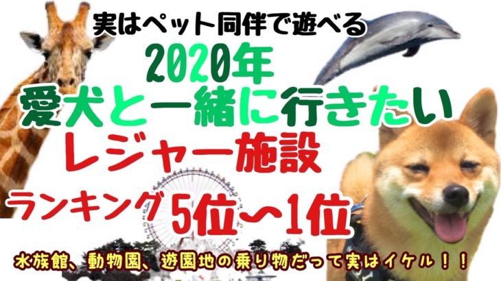 【豆柴たろ】実はペット同伴で遊べる2020年愛犬と一緒に行きたいレジャー施設ランキング‼️（後編）