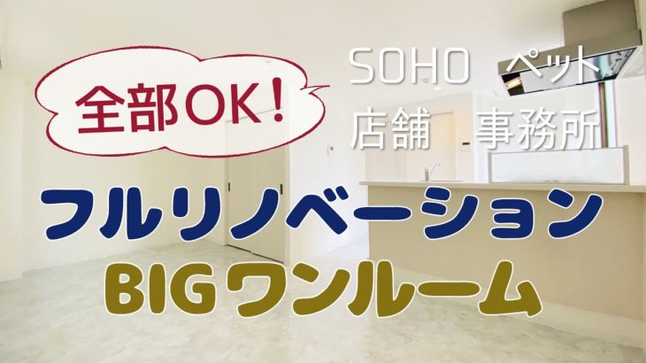 【SOHO可】店舗・事務所・ペットOK　ビッグカウンター付きフルリノベーションルーム【1R賃貸】