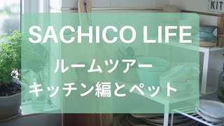SACHICO LIFE 【ルームツアー　キッチン編とペットの紹介】