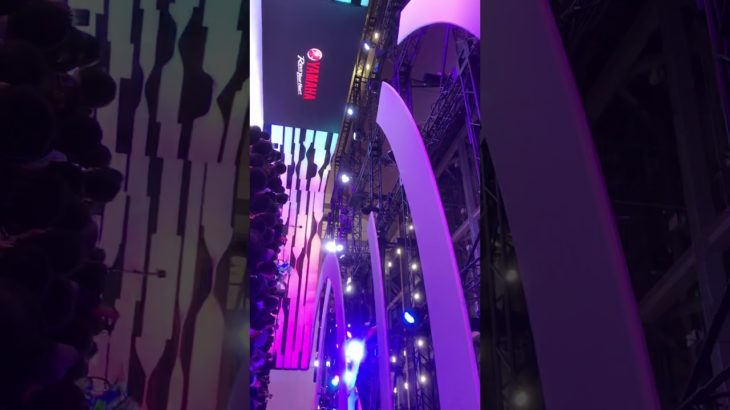 ヒカキン　ヒカキン大好き　フィッシャーズ　フィッシャーズ大好き　くうちゃん　パピヨン　子犬　犬　ワンちゃん　チャンネル登録お願いいたします。