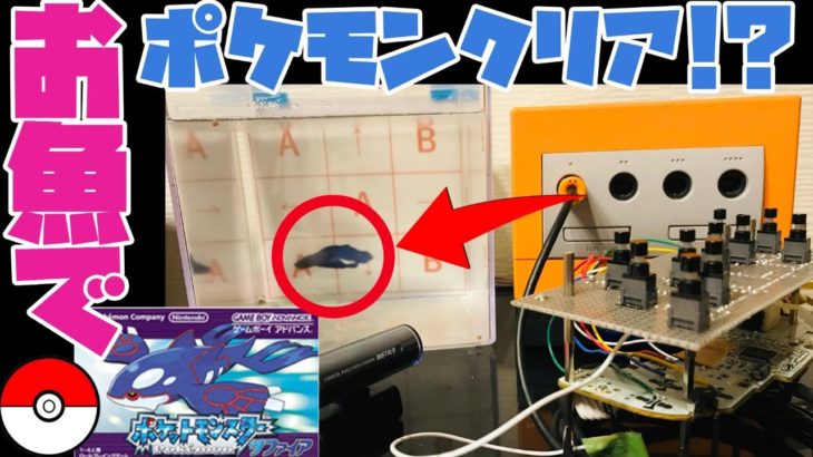 【2556h～ルネジム編】ペットの魚でポケモンクリア_Clear the pokemon with fish【作業用BGM】