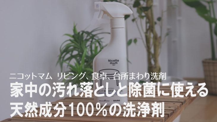 【感染対策に】食品にも使用されている成分だけで作った、汚れも落としながら除菌もできる洗浄剤