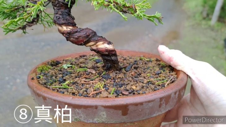 12月12日　オンライン交換会出品商品紹介