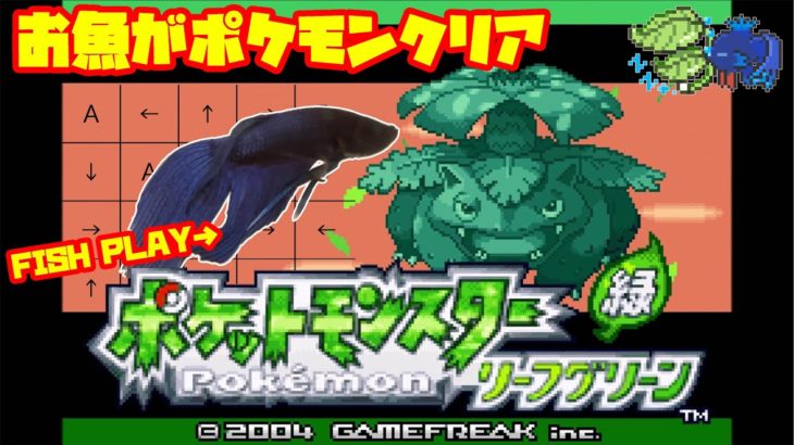 【673h~_ディグダの穴編】ペットの魚がポケモンクリア_Fish Play Pokemon【作業用BGM】