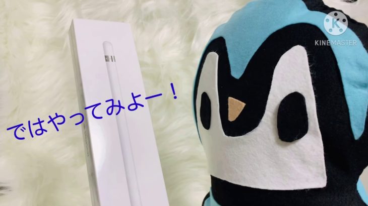 ペンギンの商品紹介！【アップルペンシル編本気】