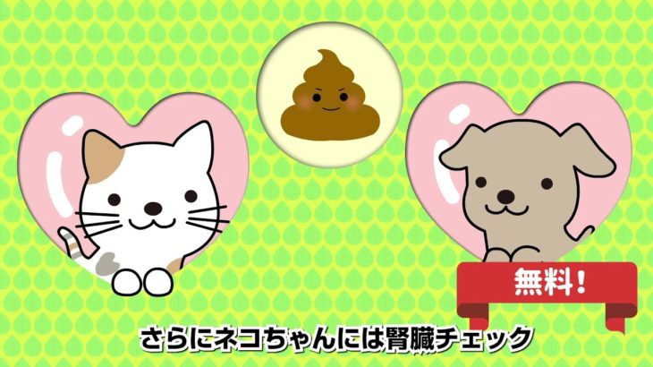 犬猫ペット保険アニコム損保紹介サービス編