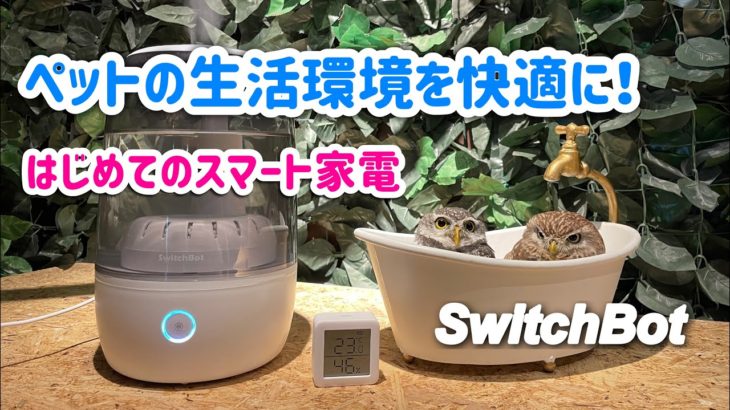 ペットの生活環境構築を考えてみた。はじめてのスマート家電導入編