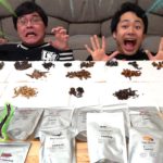 【20種類】大量の虫を食って1番うまいヤツを決めろ！！！【閲覧注意？】