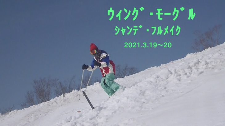 ｳｨﾝｸﾞ･ﾓｰｸﾞﾙ ﾌﾙﾒｲｸ 2021.3.19~20