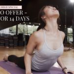 美を追求するなら・・・「これぞ！ヨガ教室だ‼」