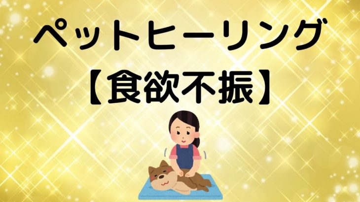【食欲不振】ペットヒーリング