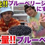 100％ブルーベリージュース作ってみたら予想しない展開に！？