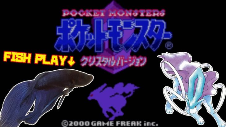 【ワカバタウン編│84h~】ペットの魚がポケモンクリア_Fish Play Pokemon【作業用BGM】