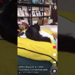 TikTok いきなり音を出してみる　フィッシャーズ