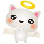 天国のペットがあなたに伝えたいメッセージ✨CARDTHERAPY