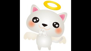 天国のペットがあなたに伝えたいメッセージ✨CARDTHERAPY