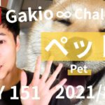 【#studywithme】“ペット”Gakio ∞ Challenge DAY151【がきおと英語と○○と　@LIVE】