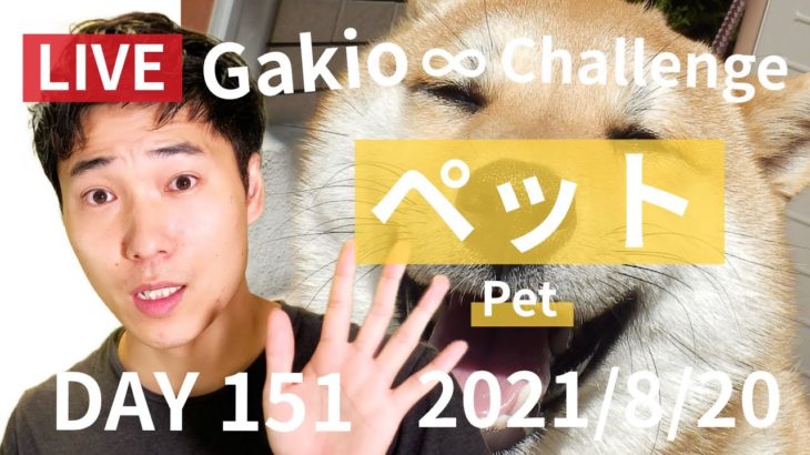 【#studywithme】“ペット”Gakio ∞ Challenge DAY151【がきおと英語と○○と　@LIVE】