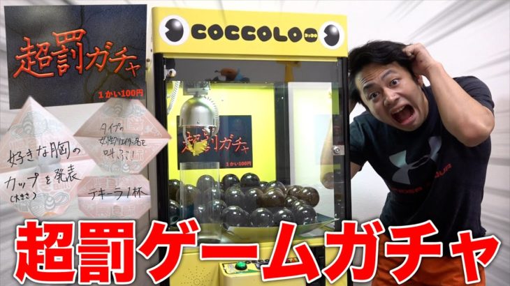 【暴露あり⁉︎】自作の超罰ガチャ大量に回したら地獄の押し付けが始まったwww