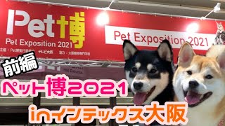 【柴犬姉妹】インテックス大阪で開催された【ペット博2021】に行ってきました！【Shibainu】【Pet博】【ペットイベント】