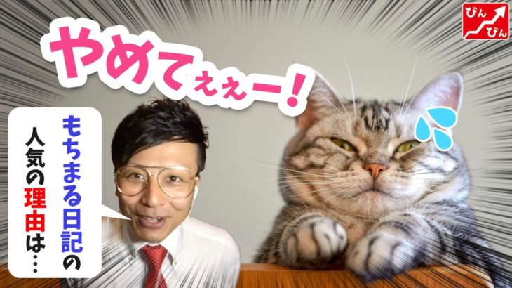 【削除覚悟】あの人気のペットチャンネルの人気の秘密を暴露【YouTube攻略/ニシカズ/切り抜き】