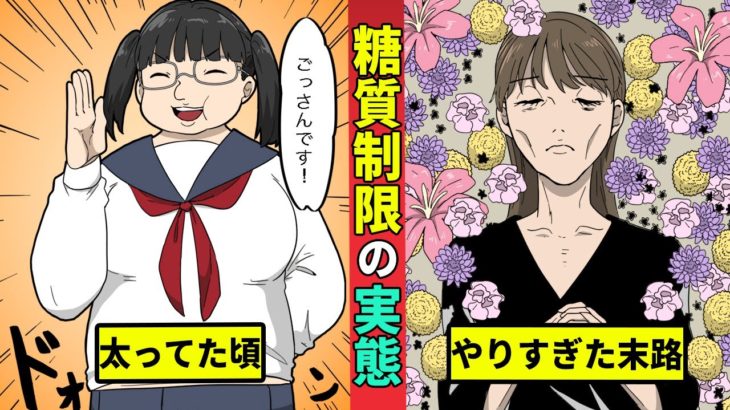 糖質制限ダイエットのヤバい実態とは！？間違いだらけのダイエット！【漫画動画】