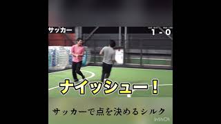 サッカーで点を決めるシルク フィッシャーズ切り抜き
