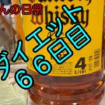 ダイエット６６日目