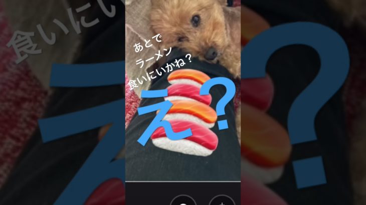 フィッシャーズリスペクト  若者達の食欲は想像の遥か上の上という、お話し   寿司は上かな？気になります