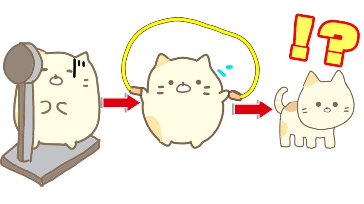 【すみっコぐらし】ねこはダイエットをするようです【アニメ】