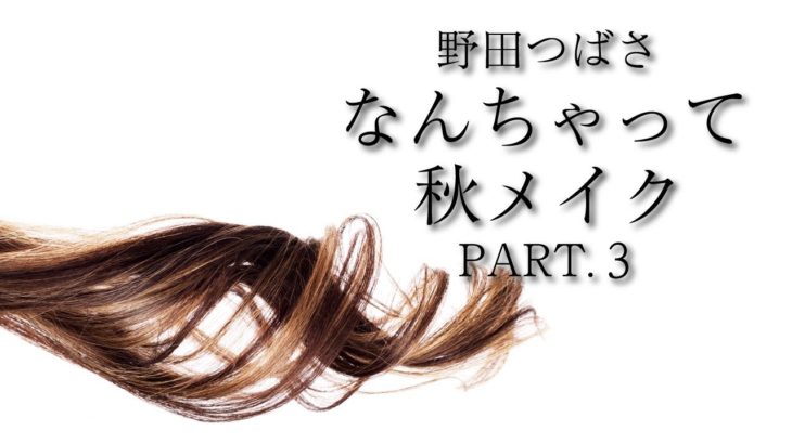 【2021】#335 野田つばさ なんちゃって秋メイク③【GENZ】【野田つばさ】【秋】【コスメ】【化粧】