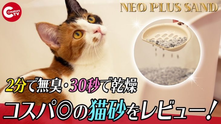 【猫砂】2分で無臭・30秒で乾燥！ペット臭を強力脱臭するコスパ◎な猫砂Neo Plus Sandをレビュー!!【あつしChannel】