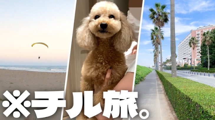 ペットと泊まれるディズニーホテルに愛犬と3泊！海を巡る秋旅行【大きいトイプードルのわこ】