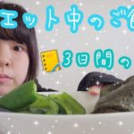 75kgぼってり女、ダイエットのやる気スイッチが入ってきた約３日間のご飯の記録。