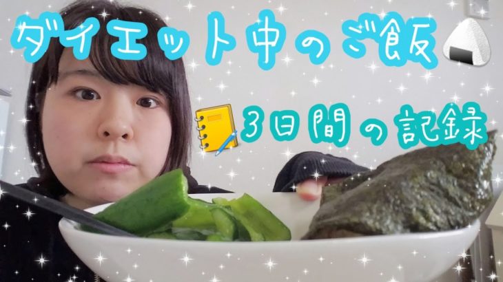 75kgぼってり女、ダイエットのやる気スイッチが入ってきた約３日間のご飯の記録。