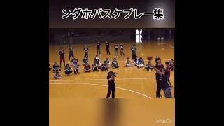 ンダホバスケプレー集 フィッシャーズ切り抜き